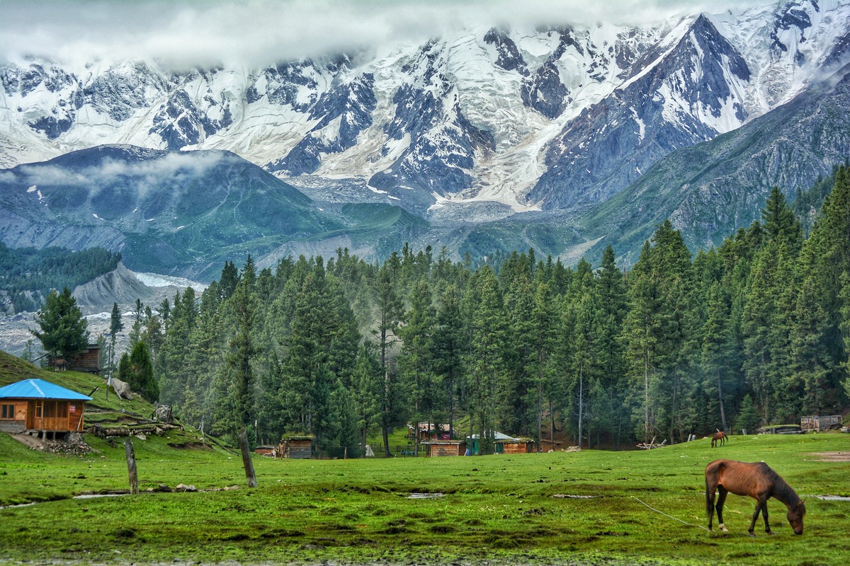 Fairy Meadows & 03 Days Tour Fairy Meadows & 3 Nights And 4 Days Tour Fairy Meadows (Adventure Focused) & 5 Nights And 6 Days Tour Fairy Meadows And Nanga Parbat & 6 Nights And 7 Days Tour Fairy Meadows – Nanga Parbat Base Camp Trek