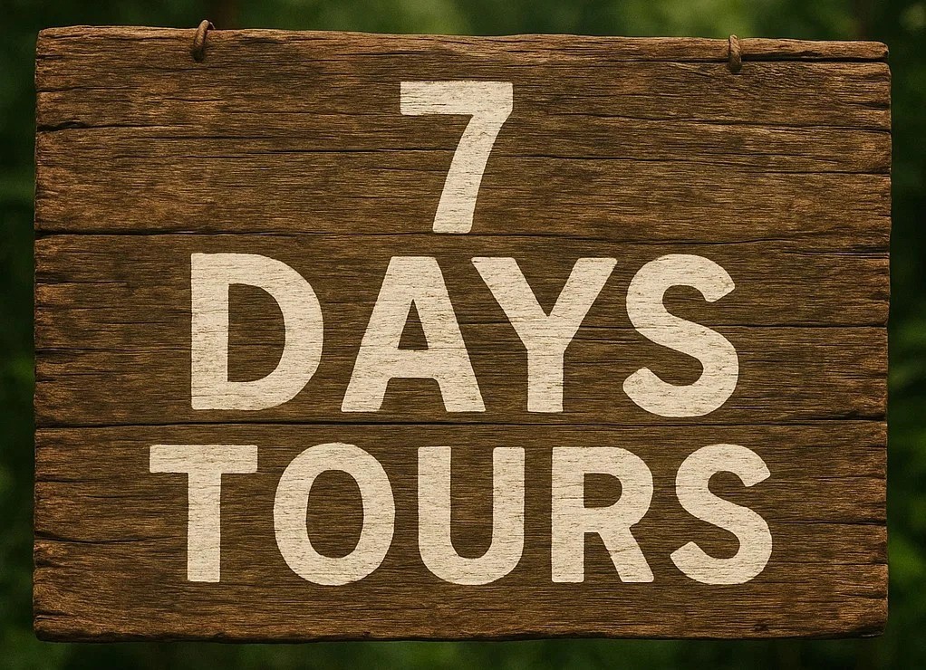 7 Days Tours
