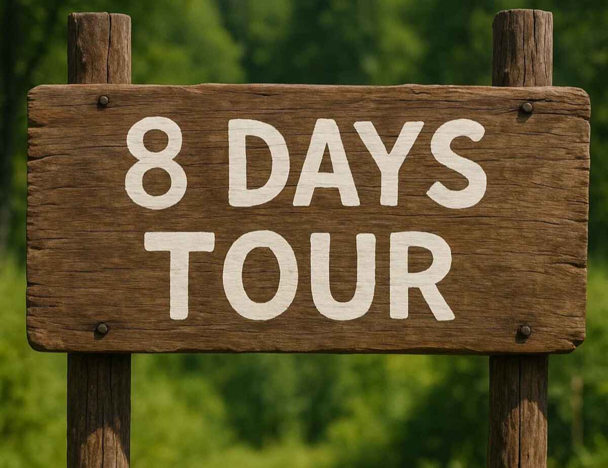 8 Days Tours