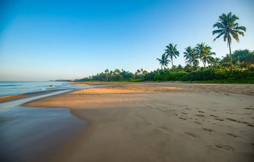 Bentota Beach In Sri Lanka