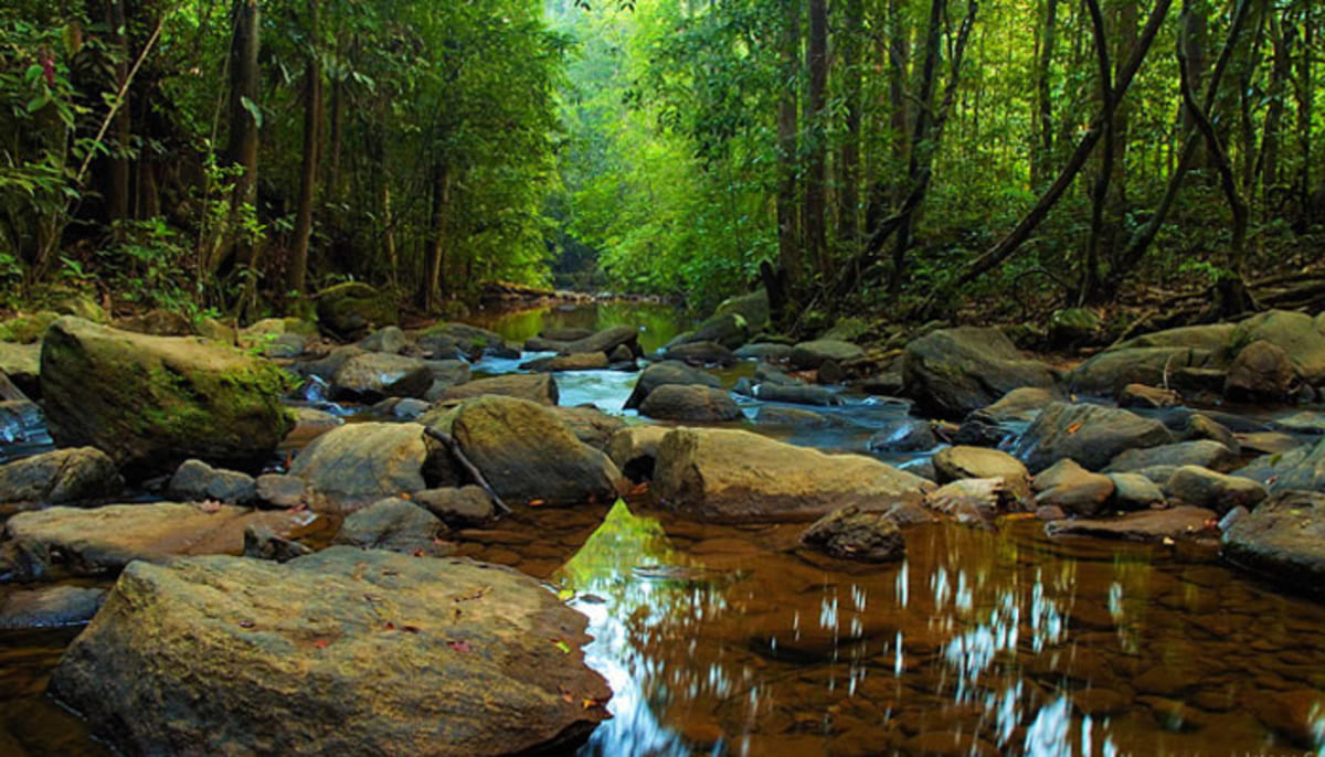 Sinharaja Rain Forest & Sri Lanka Travel Itinerary 7 Days