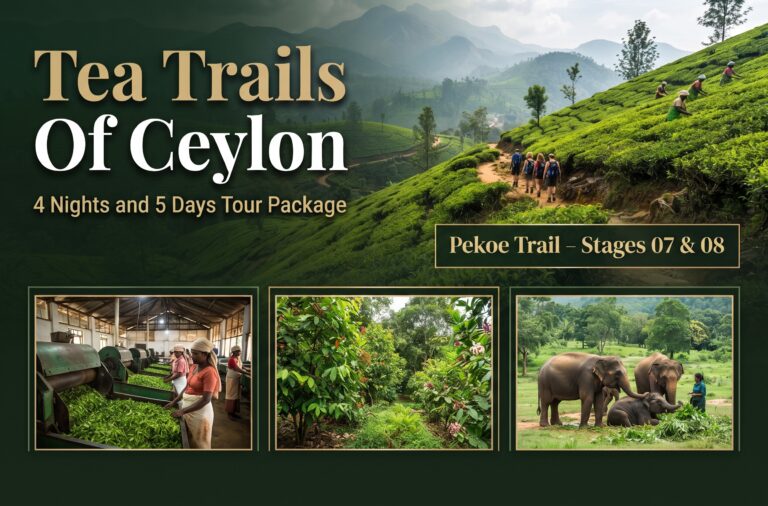 The Ceylon Tea Trail – Explore Sri Lanka’s Hill Country