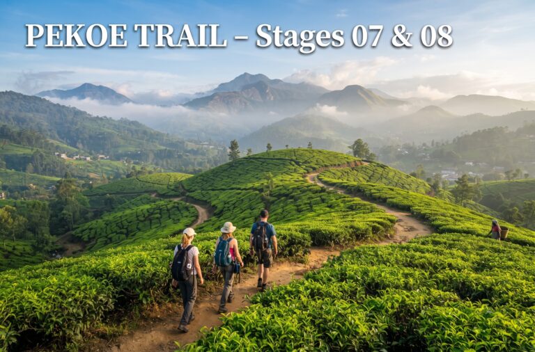The Ceylon Tea Trail – Explore Sri Lanka’s Hill Country