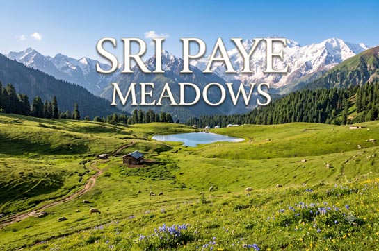 Shogran & Siri Paye Escape