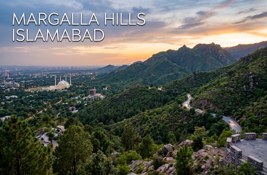 Islamabad City & Margalla Escape