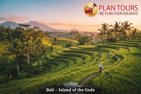 BALI HIGHLIGHTS ESCAPE