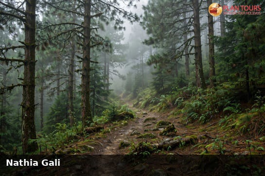 Islamabad, Murree & Nathia Gali Explorer