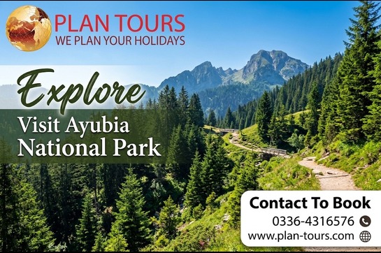 Nathia Gali Weekend Retreat