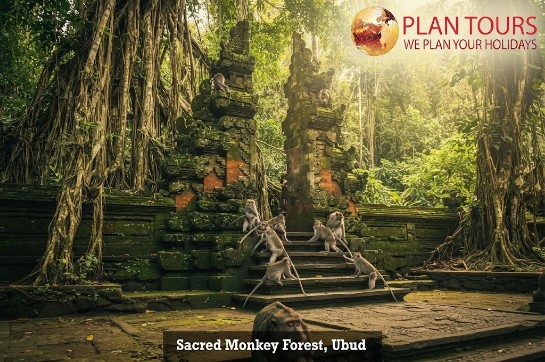 BALI HIGHLIGHTS ESCAPE