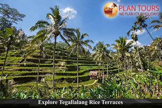 BALI HIGHLIGHTS ESCAPE