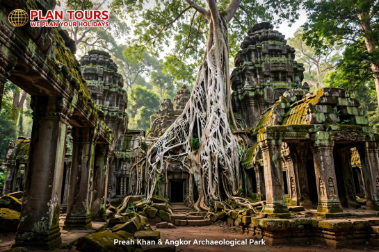 Siem Reap Temple Explorer