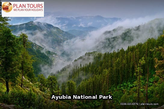 Margalla Hills & Galiyat Nature Escape