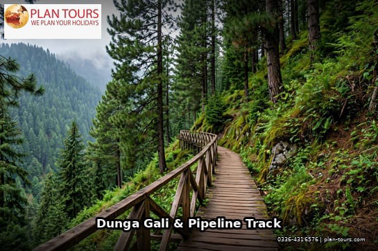 Margalla Hills & Galiyat Nature Escape
