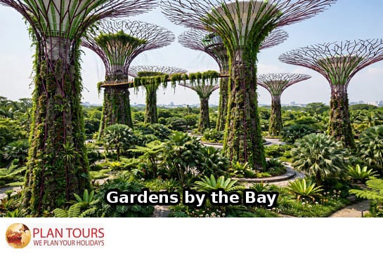 Singapore City Highlights