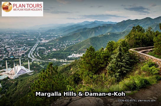 Margalla Hills & Galiyat Nature Escape