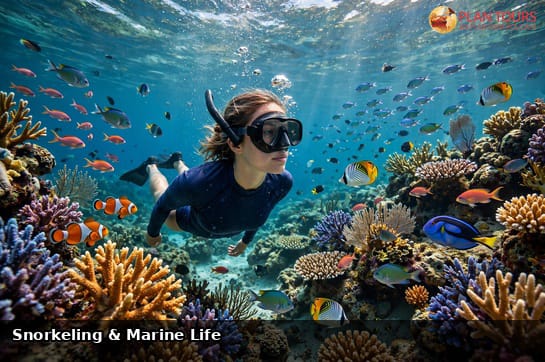 Maldives Island Paradise Escape