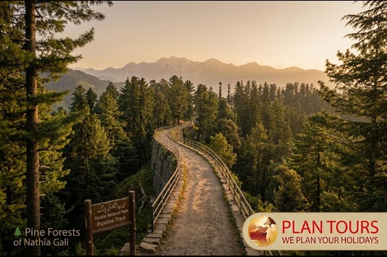 Galiyat Mountain Explorer