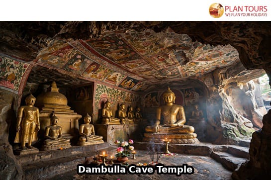 Sri Lanka Highlights Explorer